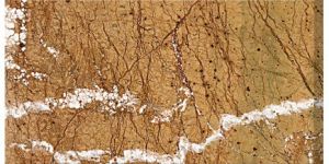 Rainforest Gold Marble