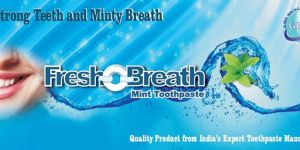 Fresh-O-Breath Mint Toothpaste