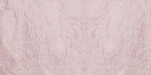 Dehydrated Red Onion Powder