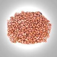 Bold Groundnut Kernels