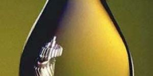 Specialty Industrial Lubricants