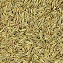 Natural Cumin Seeds