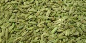Natural Fennel Seeds