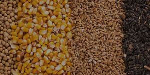 Agro Based Commodities