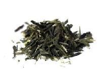 Assam Green Tea