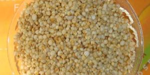 Roasted Millet