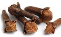 Clove Seeds