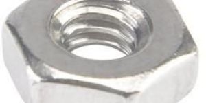 SS Hex Nut