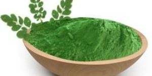 International Grade Moringa Powder