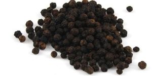 Black Pepper