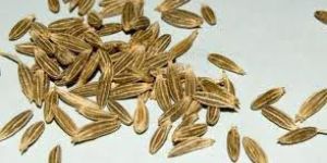 Cumin Seeds
