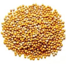 Mustard Seeds