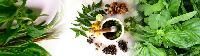 Crude Herbs