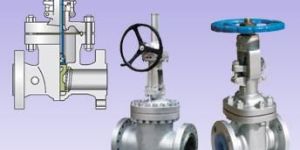 Globe Valve