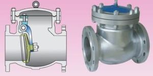 Swing Check Valve