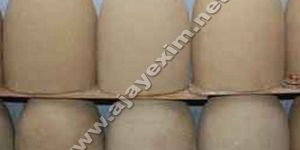 Terracotta Tandoor Oven