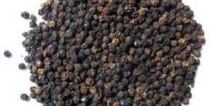 Black Pepper Seeds