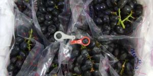 Fresh Black Grapes
