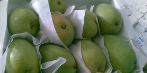 Banganpali Mango