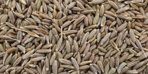 Cumin Seeds