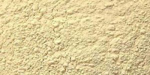 Garlic Powder
