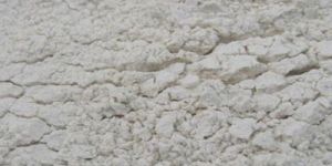 Onion Powder