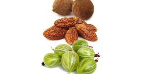 Triphala Extract