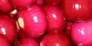 Fresh Red Onions