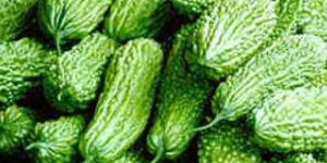 Bitter Gourd