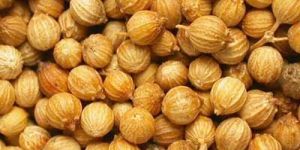 Coriander Seeds