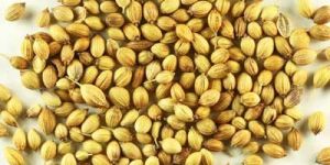 Coriander Seeds