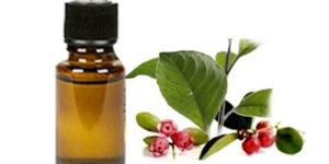 Wintergreen Oil
