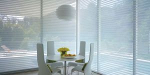 Triple Shade Blinds