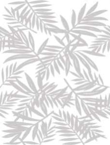 Ceramic Glazed Wall Tiles