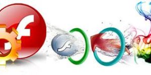 Flash Website Designing Service