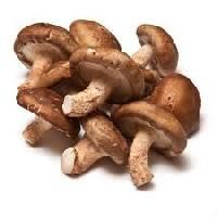 Shitake Mushrooms