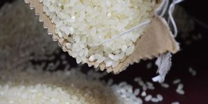 Organic Basmati Sella Rice