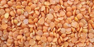 Organic Masur Lentil