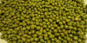 Organic Moong (Greengram)