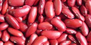 Organic Red Rajma