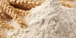 Organic Wheat Flour