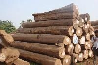 Teak Round Logs