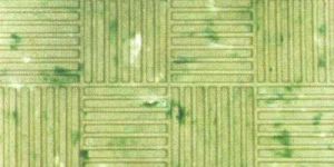 Concrete Sidewalk Slab (KMPL-8042)