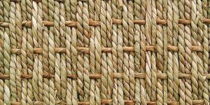 Seagrass Carpet