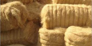 Coir Fiber