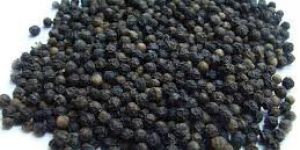 Black Pepper