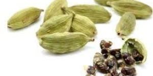 Green Cardamom