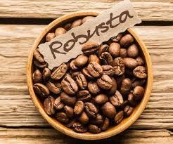 Robusta Coffee