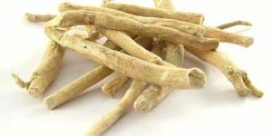 Ashwagandha Roots
