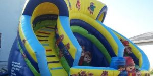 Inflatable Water Slide